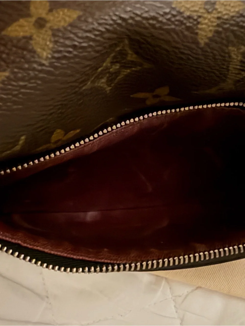 Louis Vuitton authentic louis